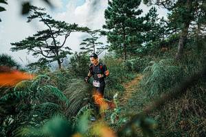 BIB: 
                            <button type="button" onclick="openModal(25259496)" class="btn btn-primary btn-sm float-right btn-popup" data-toggle="modal" data-target=".modal-high-quality">
                        <i class="fas fa-shopping-cart"></i> Add to Cart
                    </button>
                                            <button type="button" onclick="isThisMe(25259496, true)" class="btn btn-success btn-sm float-right btn-popup btn-isme hidden" data-toggle="tooltip" data-placement="bottom" title="นี่คือรูปของคุณใช่ไหม คลิกที่นี่เพื่อเอาเข้าอัลบั้ม">
                        <i class="fas fa-plus"></i> Add to album
                    </button>
                    <button type="button" onclick="isThisMe(25259496, false)" class="btn btn-warning btn-sm float-right btn-popup btn-isnotme hidden">
                        <i class="fas fa-ban"></i> Remove from album
                    </button>